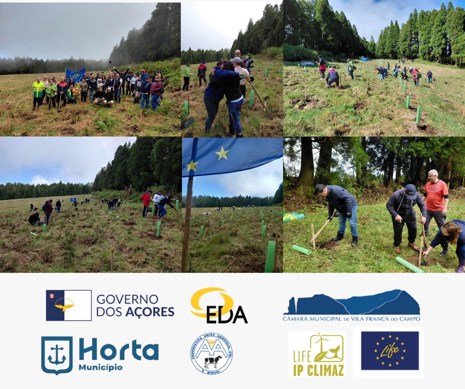 LIFE IP CLIMAZ CELEBRA O DIA MUNDIAL DA TERRA COM UMA AÇÃO DE VOLUTARIADO PELA FLORESTA NATIVA