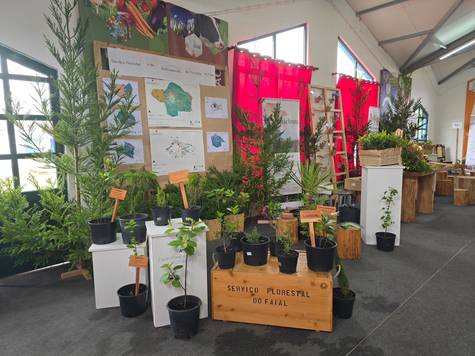 SFOT Faial presente na Feira Agrícola e Comercial do Faial 2025