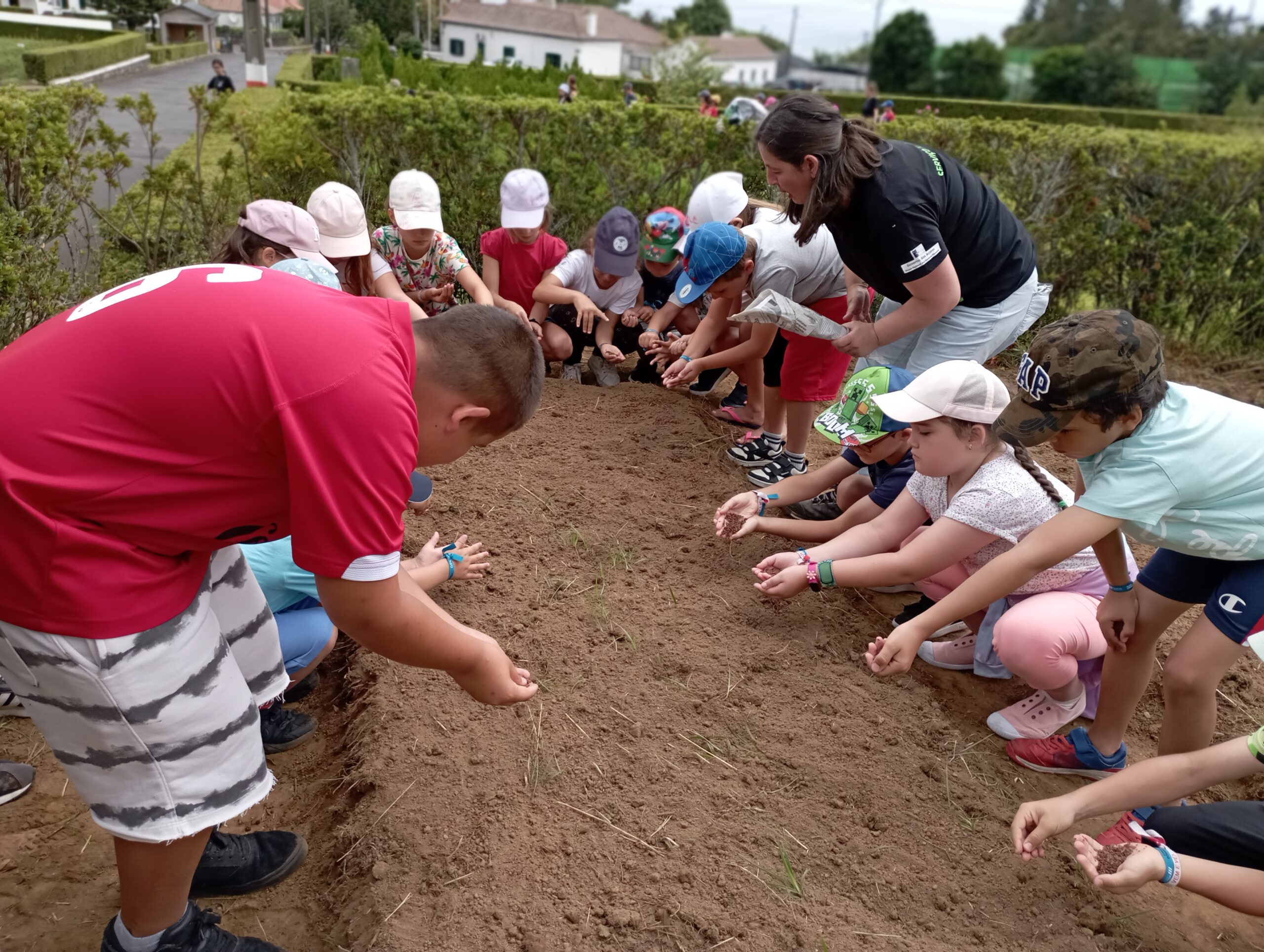 Dia Mundial da Floresta no Nordeste