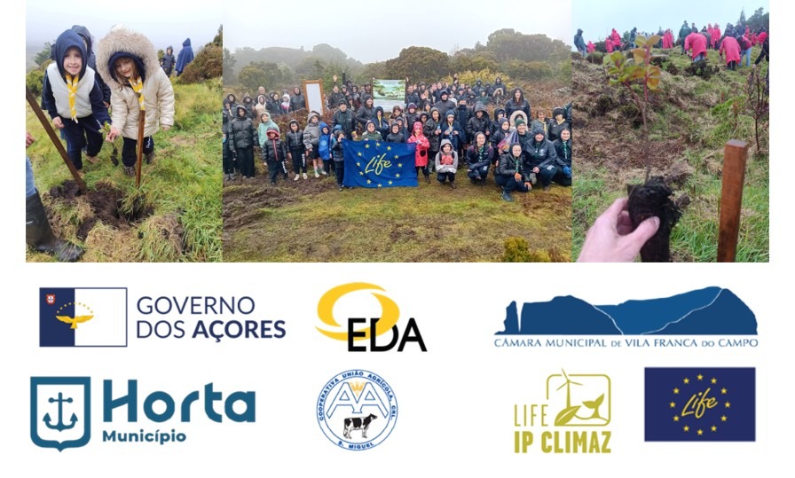 Plantar o Futuro Uma ação de voluntariado florestal no âmbito do Projeto LIFE IP CLIMAZ