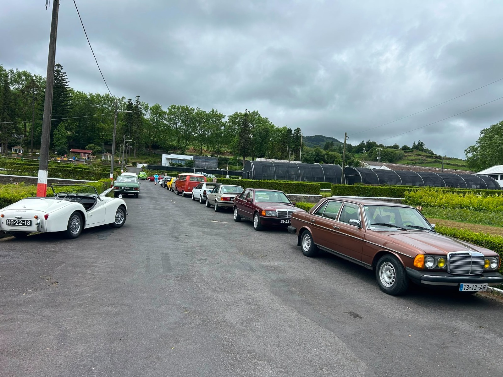 Reserva Florestal de Recreio do Viveiro do Nordeste recebe exposição de carros clássicos e plantação de endémicas