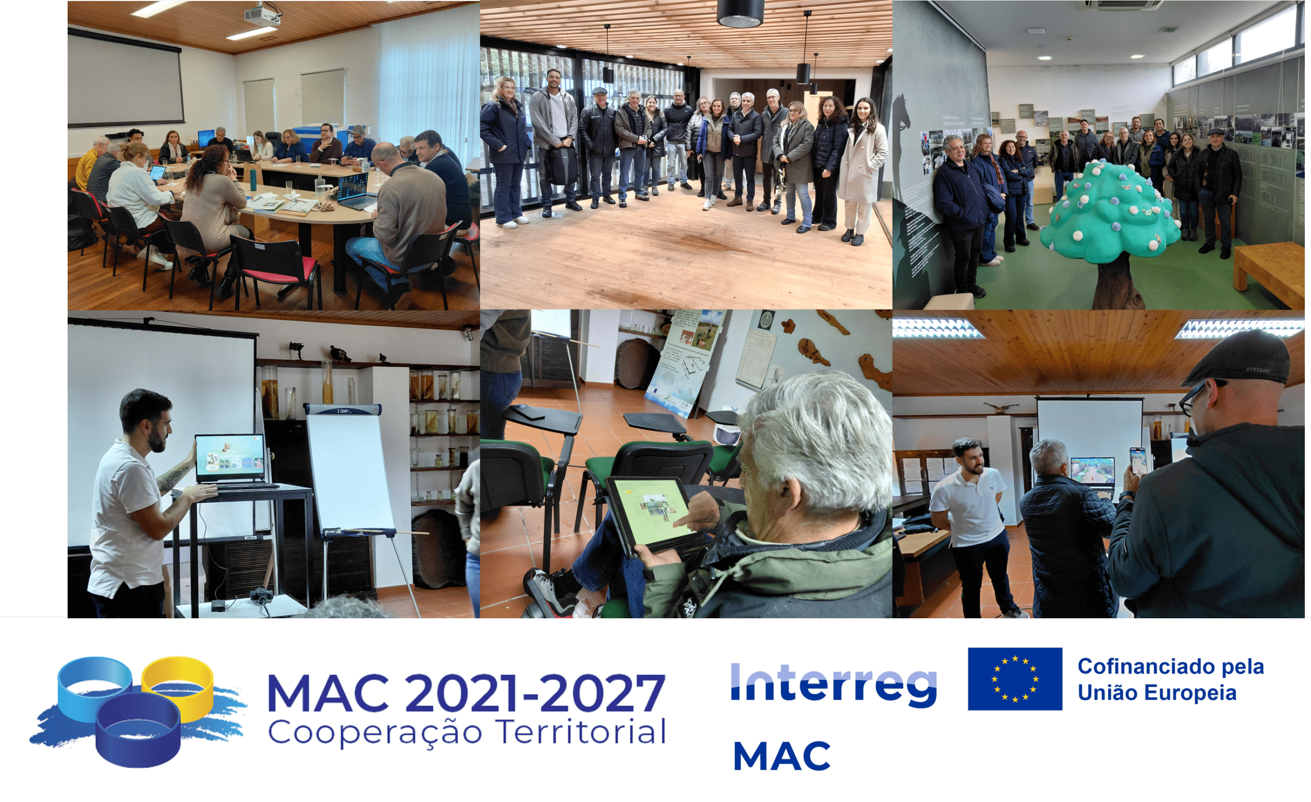 Macaronésia reforça cooperação florestal com visitas técnicas lideradas pela DRRFOT nos Açores​